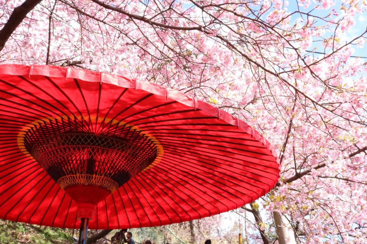 Stay Sakura Kyoto Gion Miyagawacho Zewnętrze zdjęcie